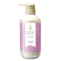 Amino Master - Deep Repair Hair Treatment 500g