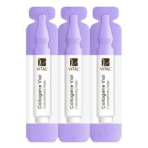 VITAL - Collagene Vial Concentrato Fiale Serum 2ml x 3
