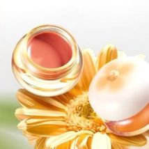 Nono Notes - Water Lip Cream - G01-G03 #G03 Mocha - 5.5g