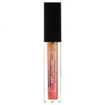 TONYMOLY - Perfect Lips Shine Gloss 4.5g