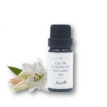Aster Aroma - 3% Essential Oil in Organic Jojoba Oil Lily - 10ml