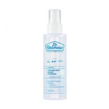 THE FACE SHOP - Dr. Belmeur Clarifying Soothing Mist 100ml