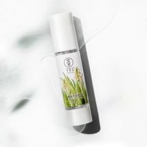 XUNHUIJI - Aloe Vera Fresh Gel 40g