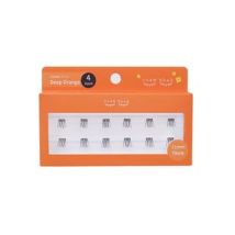ccam bbak - Original Eyelash 4 Points - 9 Types 11mm Thick