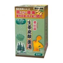 Health Lab - Yakujiyu Ginger Carbonated Bath Tablet Forest - 50g x 6