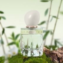 CHEERFLOR - Twilight Blossom Haze Series Perfume Limited Edition - 4 Flavors CFR1176 Rose Peach - 50ml