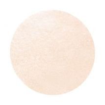 Anna Sui - Illminating Cushion Compact Refill 8g