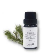 Aster Aroma - Organic Essential Oil Pine - 10ml