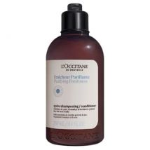L'Occitane - Purifying Freshness Conditioner 250ml