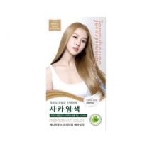 jenny house - Premium Hair Color Set - 10 Colors #12AND Ash Nude Beige