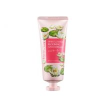 Farmstay - Pink Flower Blooming Hand Cream - 4 Types Water Lily
