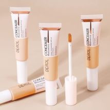 DEROL - Inspiration Painter High-efficiency Concealer - 4 Colors #01 Porcelain