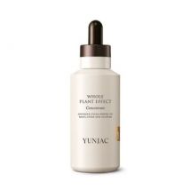 YUNJAC - Whole Plant Effect Concentrate 75ml