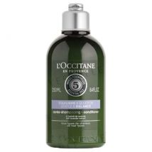 L'Occitane - Gentle & Balance Conditioner 250ml