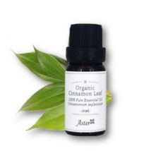 Aster Aroma - Organic Essential Oil Cinnamon Leaf - 10ml