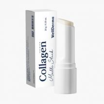 WellDerma - Premium Collagen Multi Stick 2026 Version - 10g