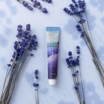 Daily Aroma Japan - Hokkaido Lavender Mini Hand Cream 20g