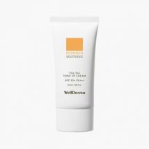 WellDerma - Pumpkin Vita Tox Tone Up Cream 50ml