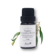 Aster Aroma - Organic Pure Essential Oil Eucalyptus Radiata - 10ml