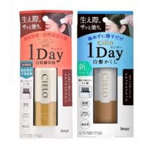 hoyu - Cielo 1 Day Cover Gray Hair Color Comb