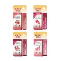 Burt's Bees - Tinted Lip Balm Hibiscus - 4.25g