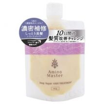 Amino Master - Deep Repair Hair Treatment 100g