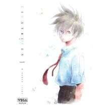 Cicatrices, tome 1/3 - Vega Dupuis - 9ème Store
