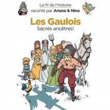Les Gaulois - Dupuis Jeunesse - 9ème Store