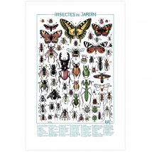 Sérigraphie Les insectes du jardin - Mâtin - 9ème Store