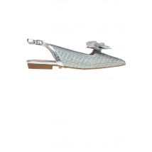 Wellingtone ballerinas