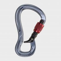 Black Diamond Gridlock Screwgate Carabiner - Silver, Silver