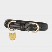 Digby & Fox Padded Leather Dog Collar - Black, Black