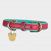 Digby & Fox Padded Leather Dog Collar - Pink, Pink