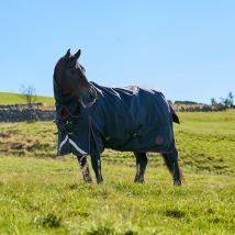 Royal Scot Original 100G Light-Medium Weight Combo Neck Turnout Rug Black/Wine - Blkwi, BLKWI