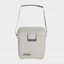 Coleman Pro 25Qt Cooler Box - White, White
