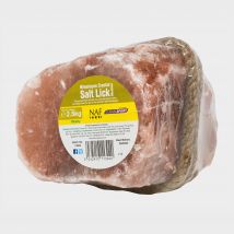 NAF Himalayan Salt Lick (Medium)