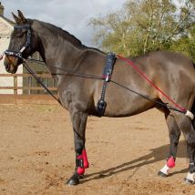 Whitaker Training System, Brown