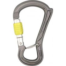 DMM Ceros Screwgate Carabiner, Silver