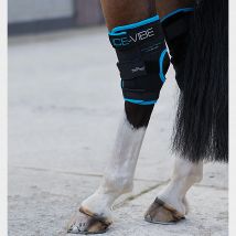 Horseware Ice-Vibe Hock Wrap, Black