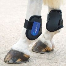Arma Fetlock Boots Black/Royal Blue, Blue