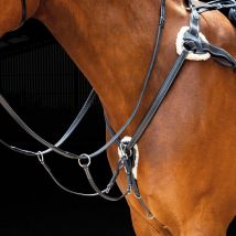 SALISBURY Salisbury 5 Point Breastplate, Black