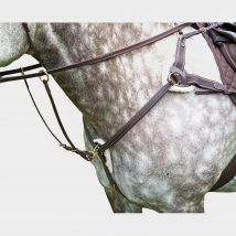SALISBURY Salisbury 5 Point Breastplate, Brown