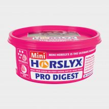 Horslyx Mini Pro Digest Balancer, Pink