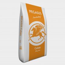 Pegasus Pegasus Cubes 20kg, White