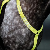 EQUI-FLECTOR Breastplate, Yellow