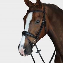 Collegiate Mono Crown Padded Raised Flash Bridle Black, Black