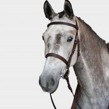 Collegiate Hunt Cavesson Bridle IV Brown, Brown