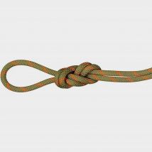 Mammut Alpine Dry 8.0 Rope 50m, Green