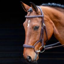 SALISBURY Salisbury Brampton Bridle Australian Nut, Brown