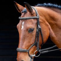 SALISBURY Salisbury Brampton Bridle, Black